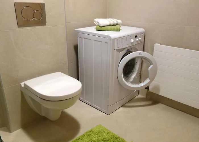 Mariner אינציג